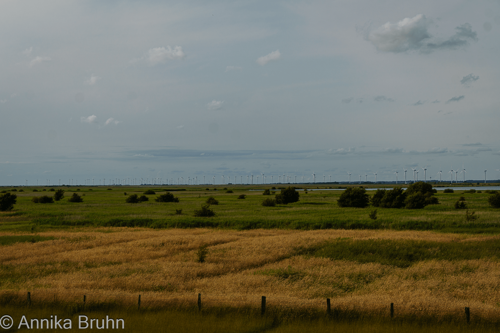 Aussicht vom Deich auf die Reußenköge!